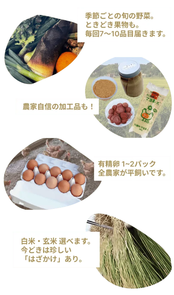 お届け例