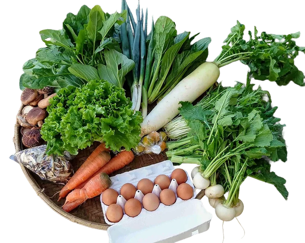 三芳野菜定期購入｜Mサイズ