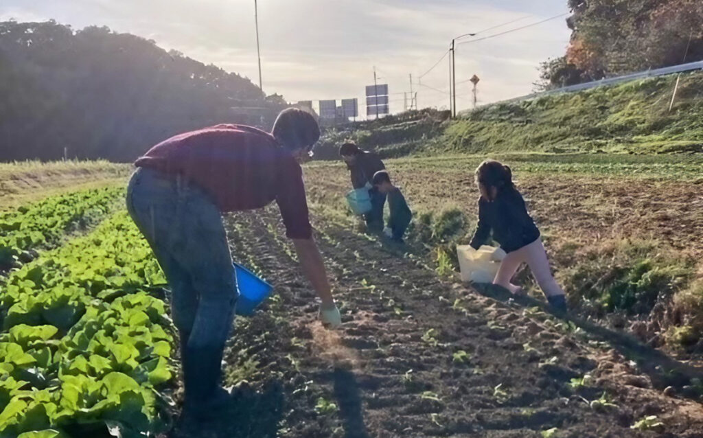 三芳村生産者と消費者の交流